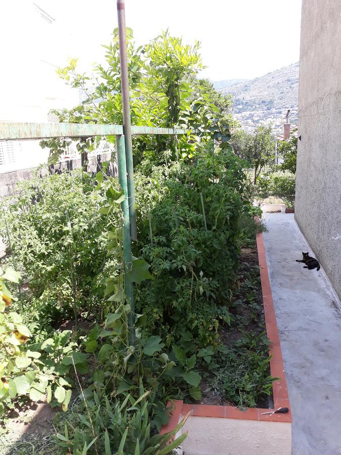 Studio Garden Apartment